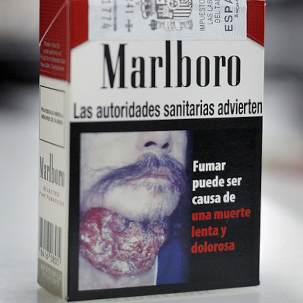 Francisco D Lion tweet media