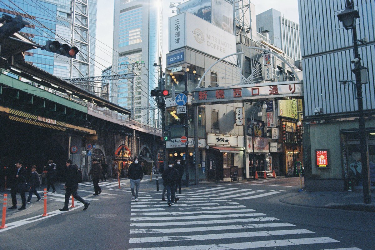 Furry 寒十柒 tweet media