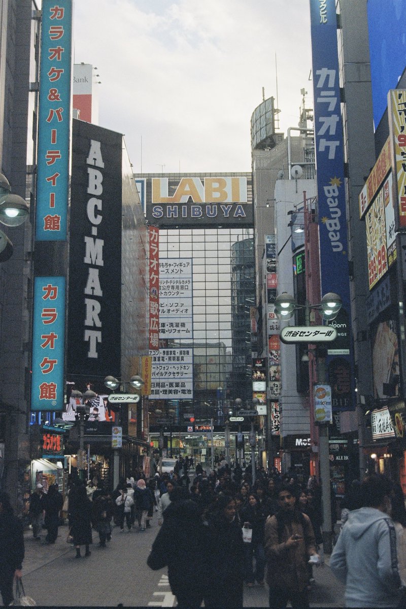 Furry 寒十柒 tweet media