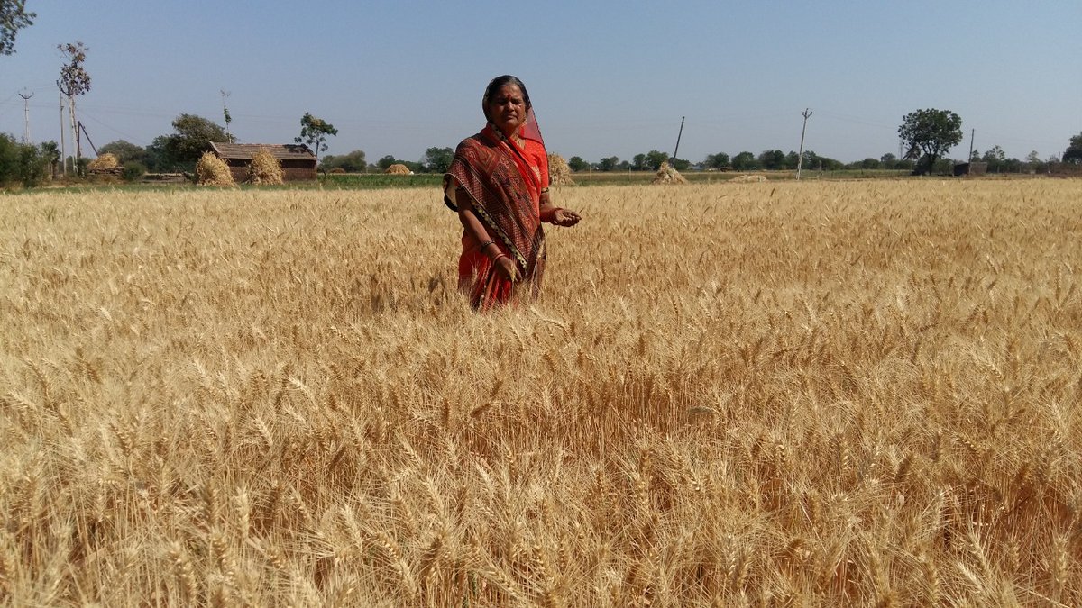 Utthan_1981's tweet photo. Earth grows where communities nurture 🌱
This #EarthDay, we stand with women farmers shaping sustainable futures from the ground up. 🌾💚
#Utthan #ClimateAction #Grassroots https://t.co/yBOGnTUZvl