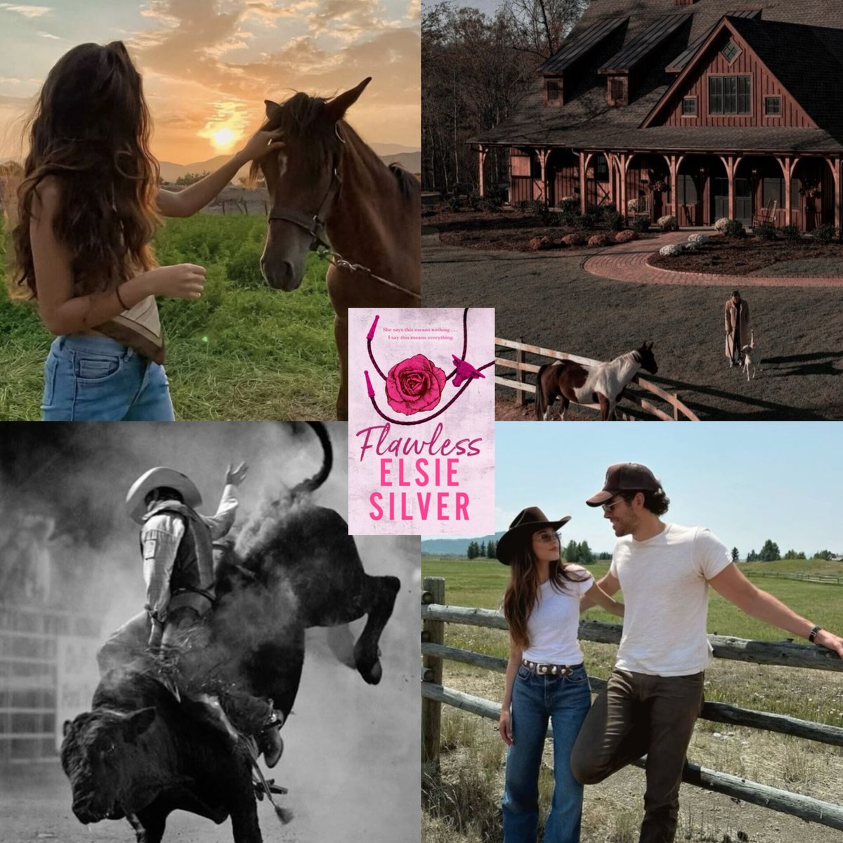 ashnbookcorner 📚 tweet media