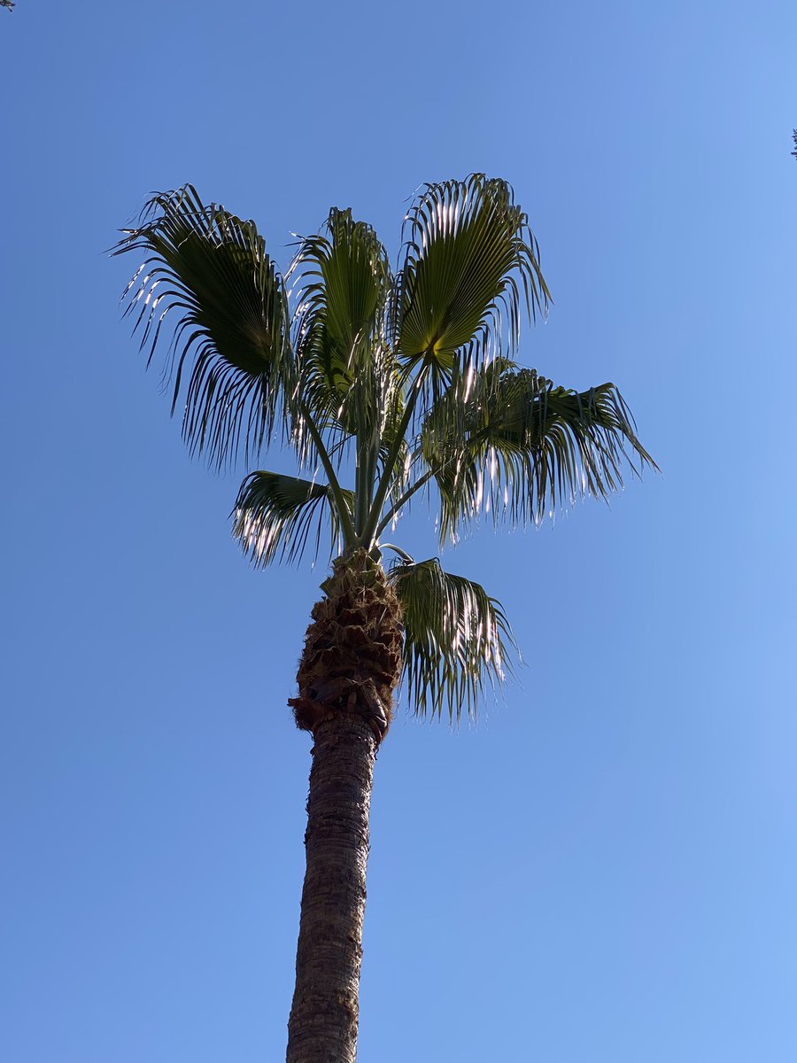 یووووخ tweet media