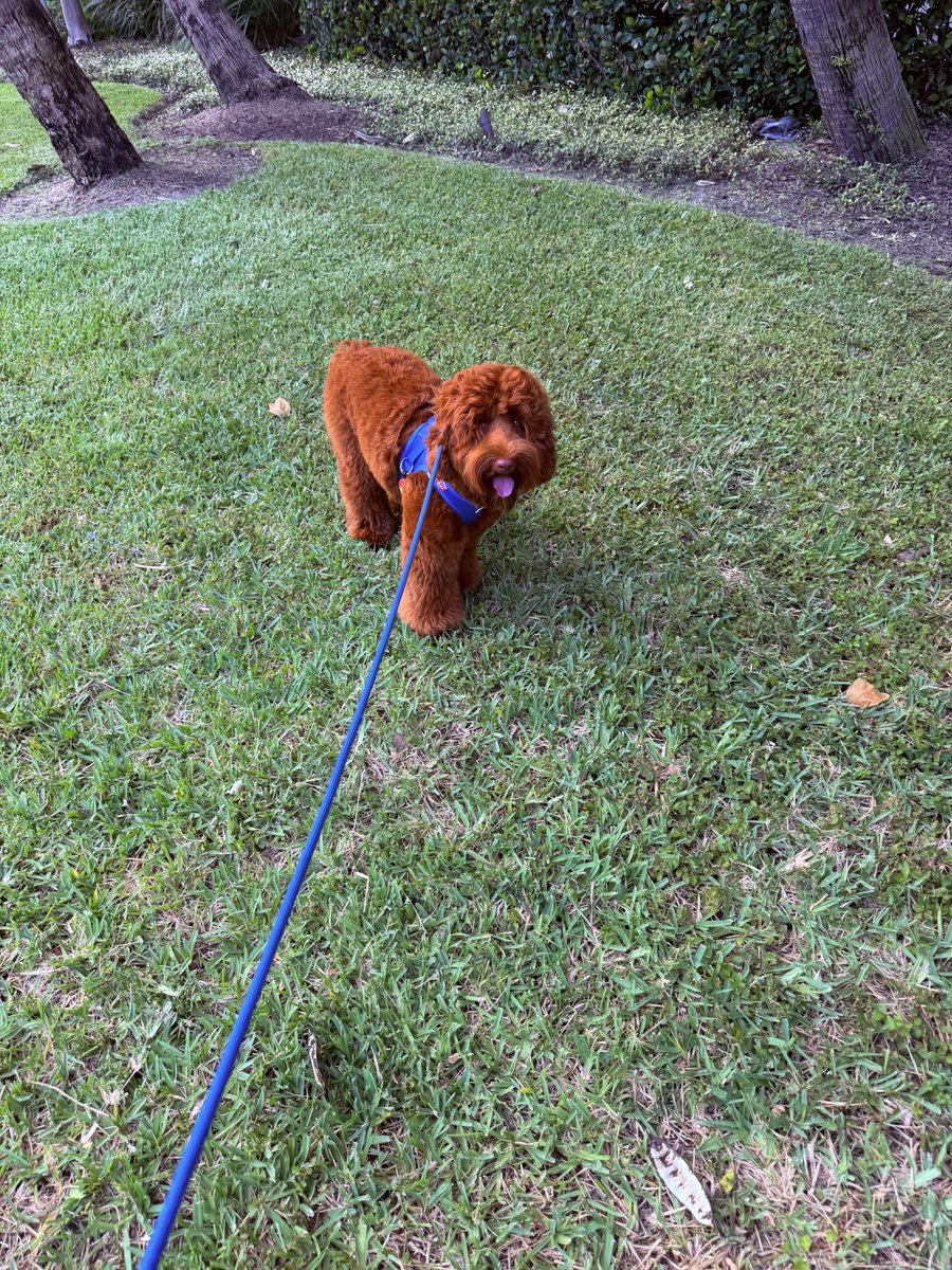 Eric Brinker tweet media