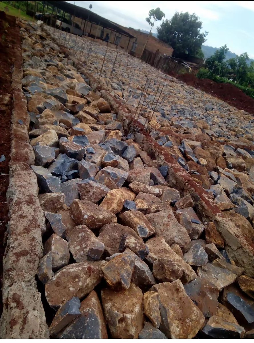 Ignatius tweet media