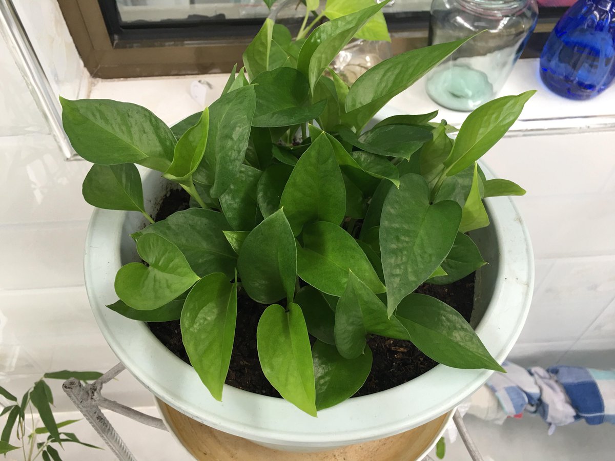 Zadi Rafik tweet media