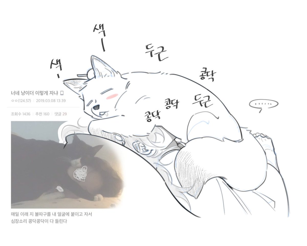 자박자박 tweet media