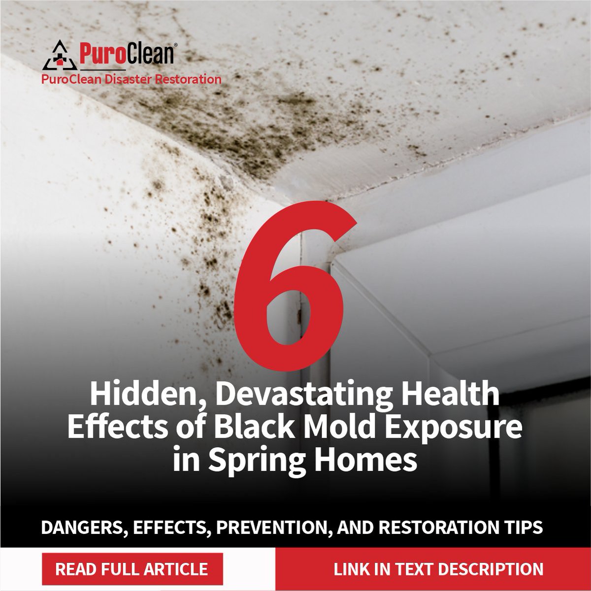 Purocleanfwayne's tweet photo. That spring humidity isn't just uncomfortable, it's feeding toxic black mold behind your walls. Exposure causes chronic coughing, skin irritation, fatigue, and worse. Don't wait for visible damage. 

Call PuroClean for expert mold removal today

#BlackMold #MoldRemoval #FortWayne https://t.co/80uyGO3yfM