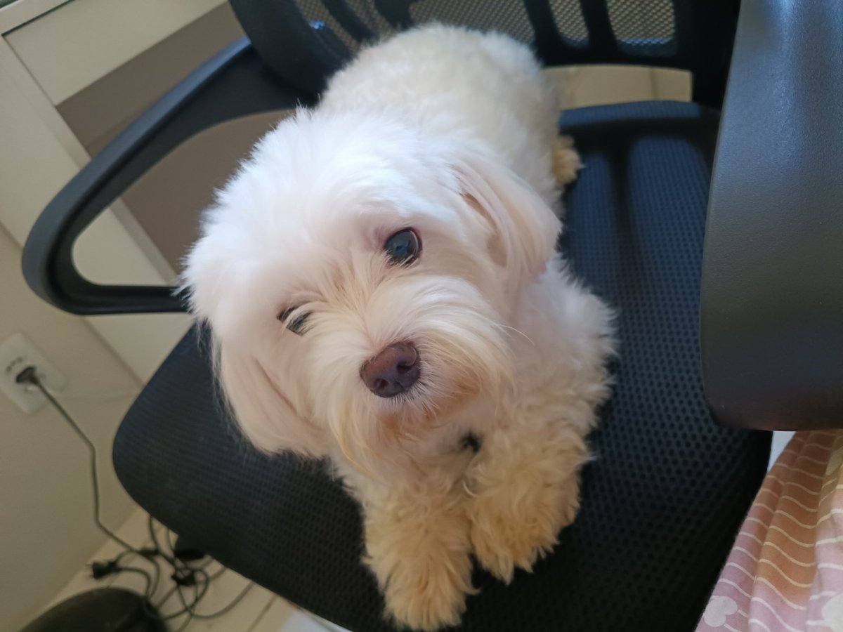 sammi 🦭 tweet media