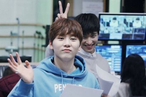 hourly seungkwan🍊 tweet media