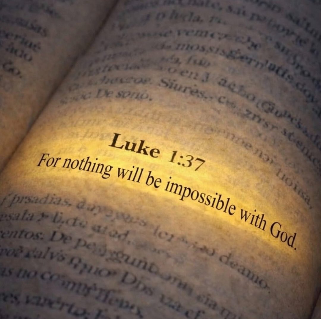 Jesvin George tweet media