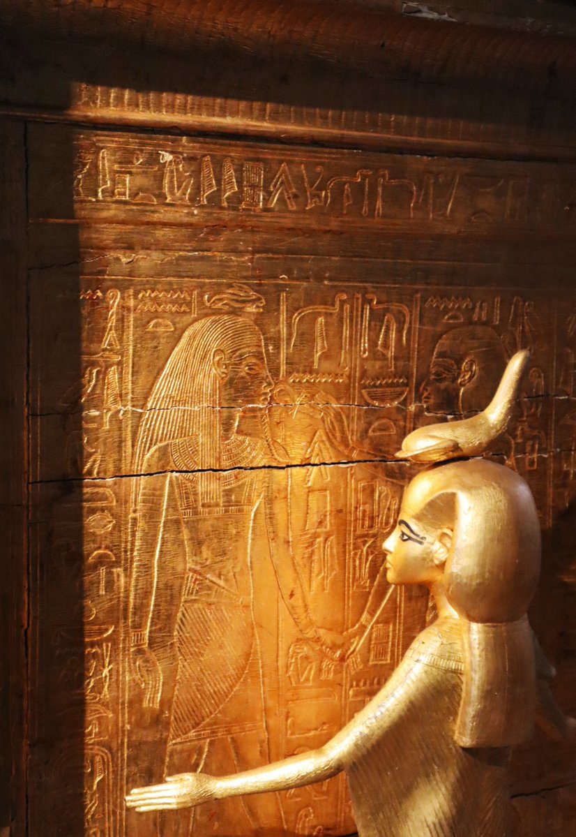 Adri Rojo tweet media