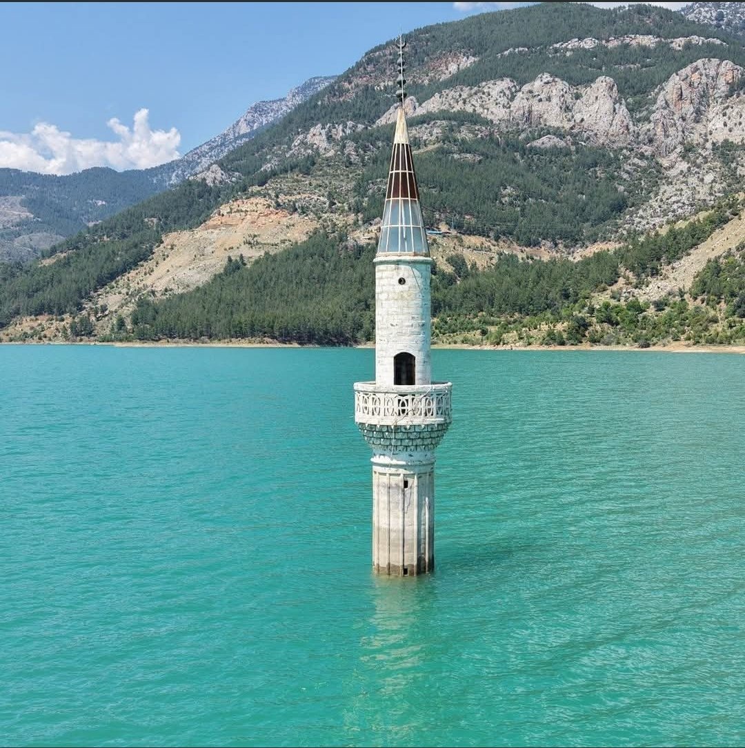 Mümkün tweet media