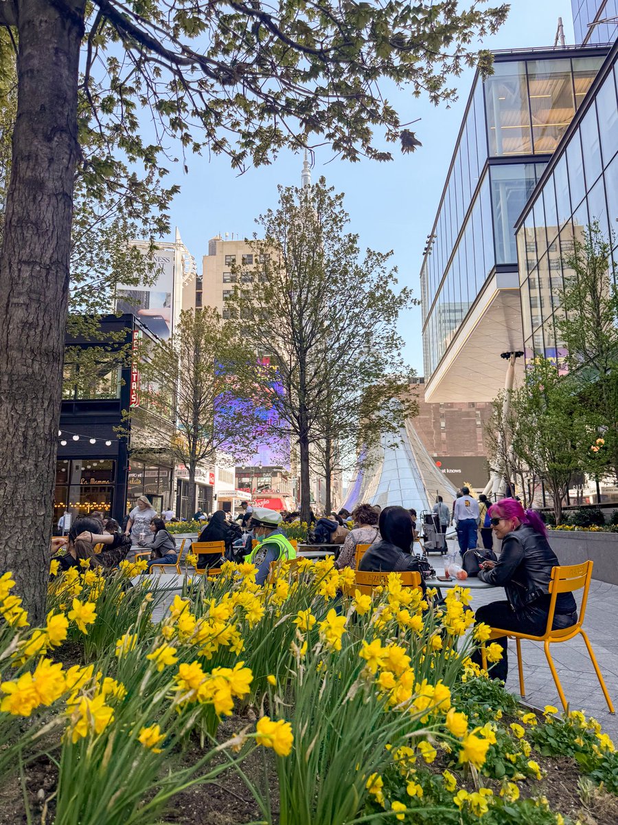 34th Street tweet media