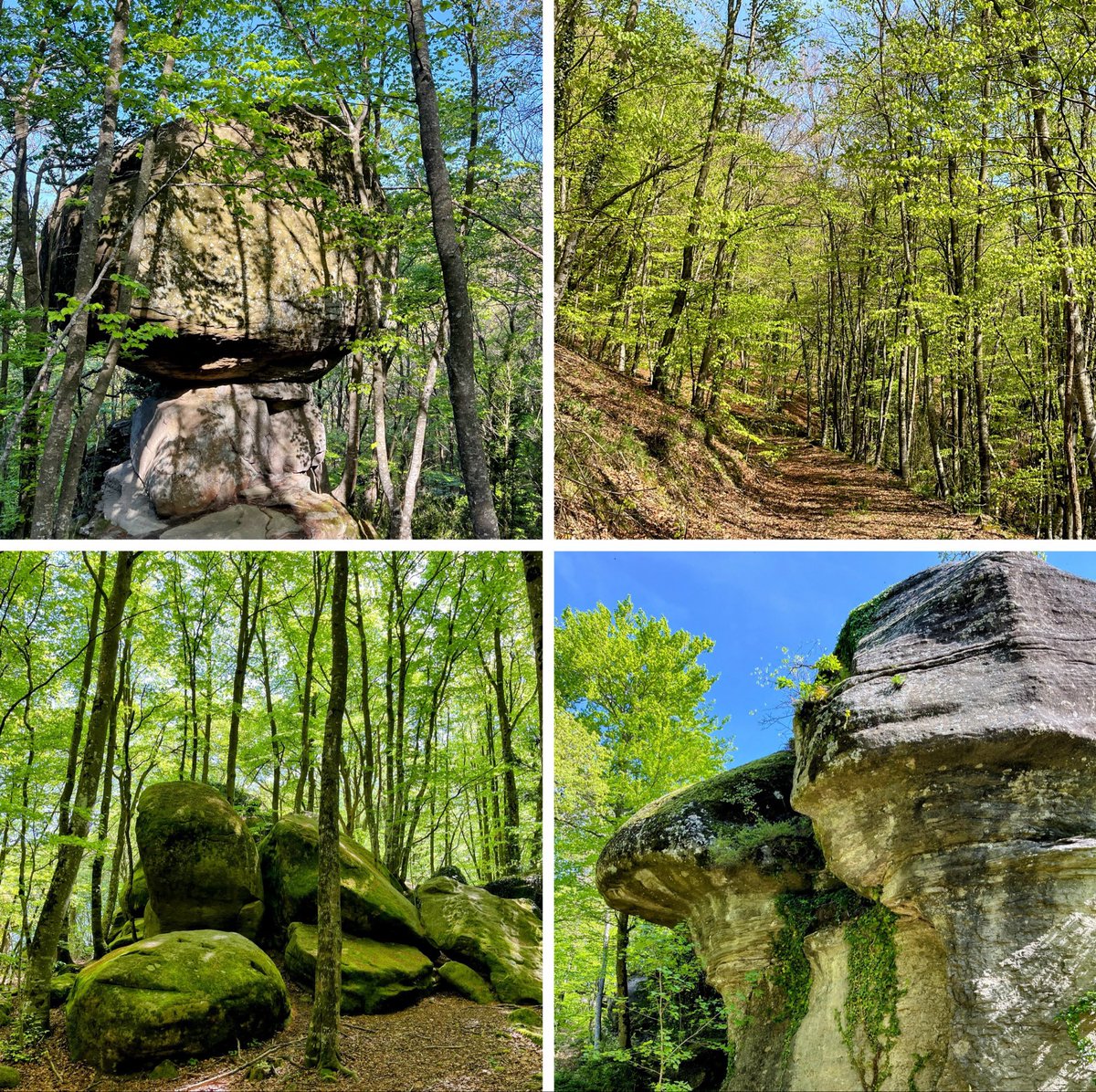 "Cada turó que veig em diu vés més lluny, vés més lluny..."
💚🍃🥾🎨