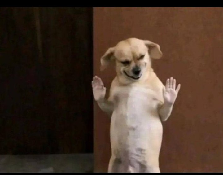 Stephenmwangi49's tweet photo. @WarriorRapid Mhindi ashawahi niruka kwa line uko chandarana Riverside, nikamuuliza "excuse me, do you work here?" Long story short, hakuscan izo items. Alijam vibaya sana 😂😂😁 https://t.co/KyBN84gAkd