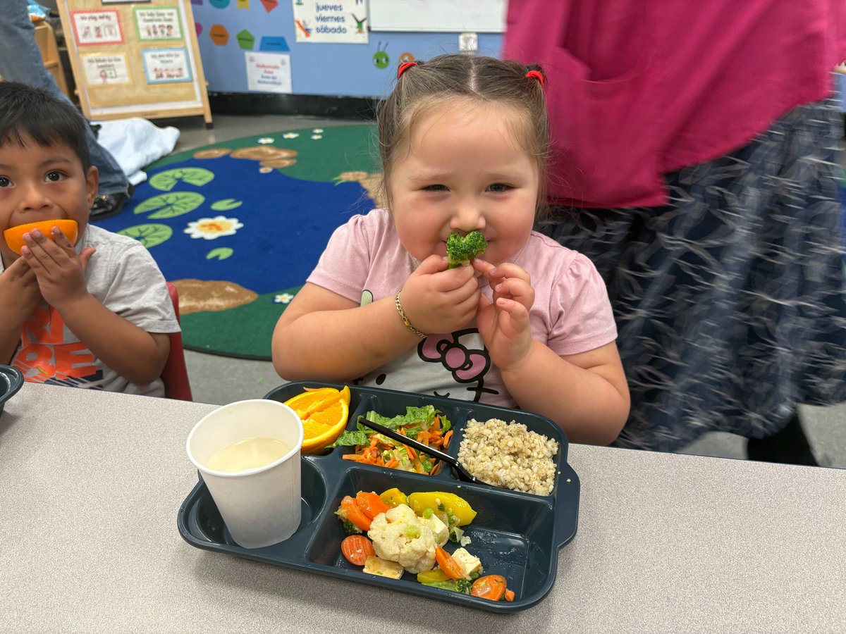 CentroNia's tweet image. At CentroNía our early learners take their #lunchtime seriously!

Look at some of our Pre-K students enjoying a tasty chicken fajita dish &amp;amp; veggies 🍴 CentroNía participates in the #CACFP program, helping provide nutritious meals to those we serve ❣️💗

#healthyfoods #prek #ece