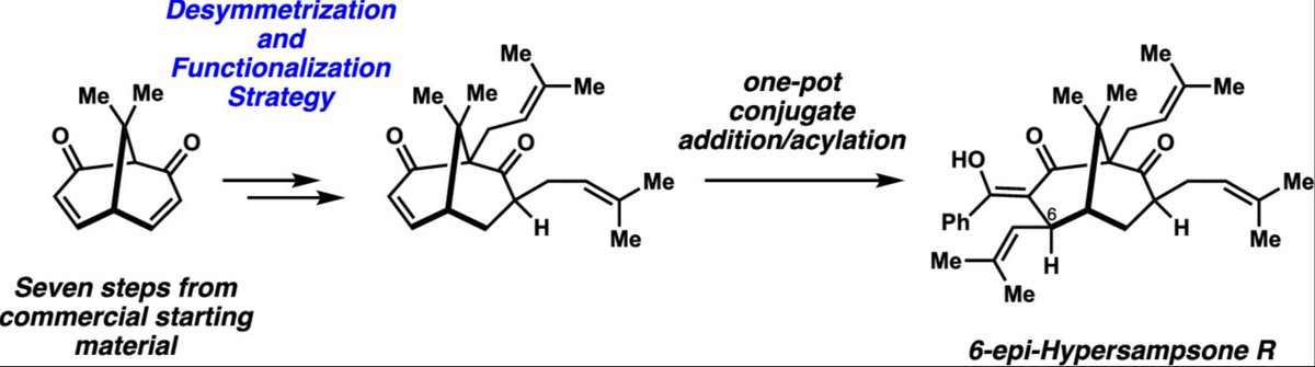 Total Synthesis tweet media