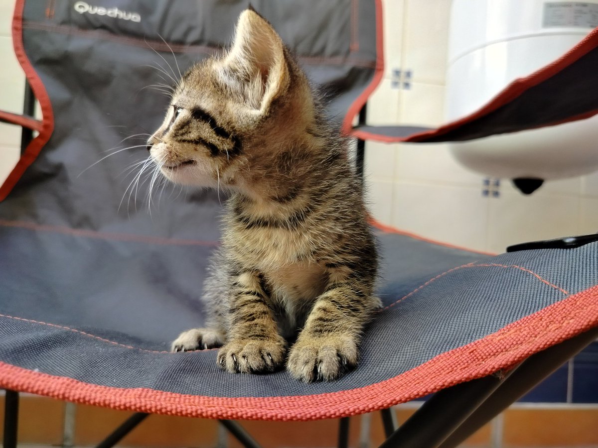 equidistanta tweet media