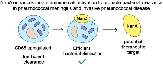Immunotherapy Advances Journal tweet media