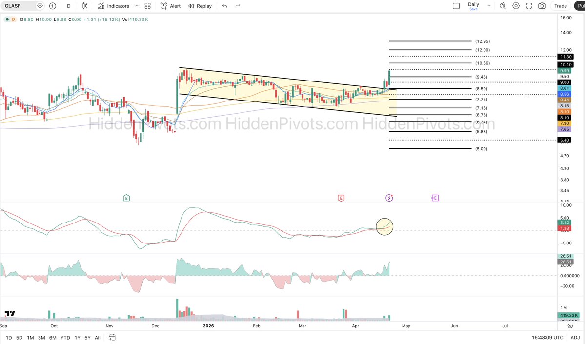 HiddenPivots's tweet image. $GLASF daily 🟢   #Volume