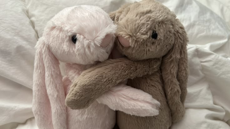 kitty ୨୧ tweet media