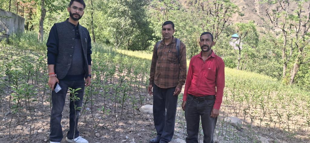 Today marks the  inspection of Bhagat Ram Fruit Plant Nursery and  bud wood bank  and blueberry  field on 22.04.2026 by Dr. Manthan Jaryal, HDO Salooni, and  Achhru Rawat ji HEO telka (Salwan)Achhru Rawat and  joginder ji HEO Salooni .