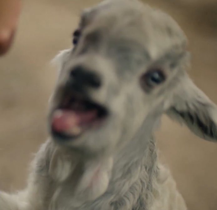 denizduru tweet media