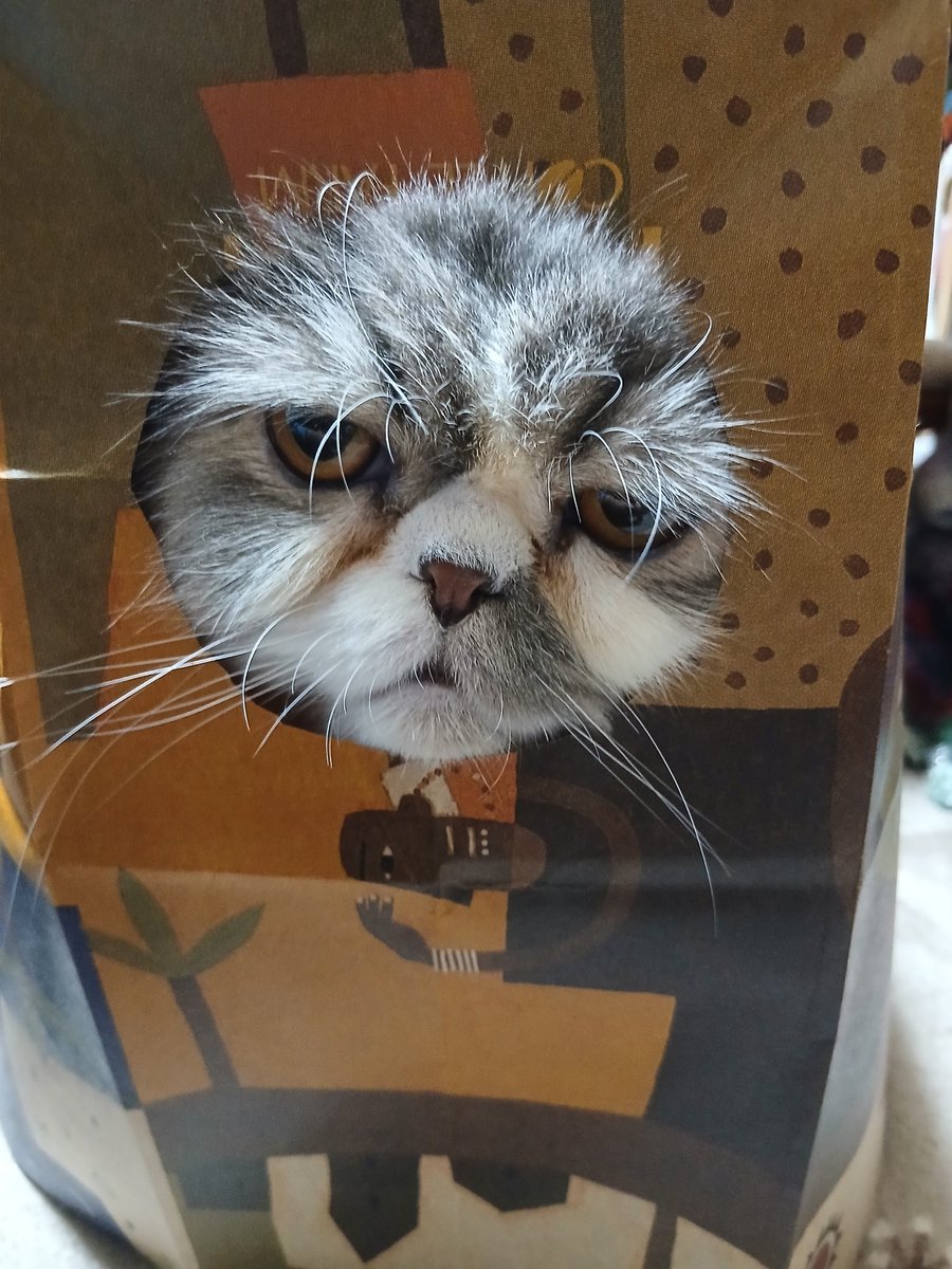 エンチャント tweet media