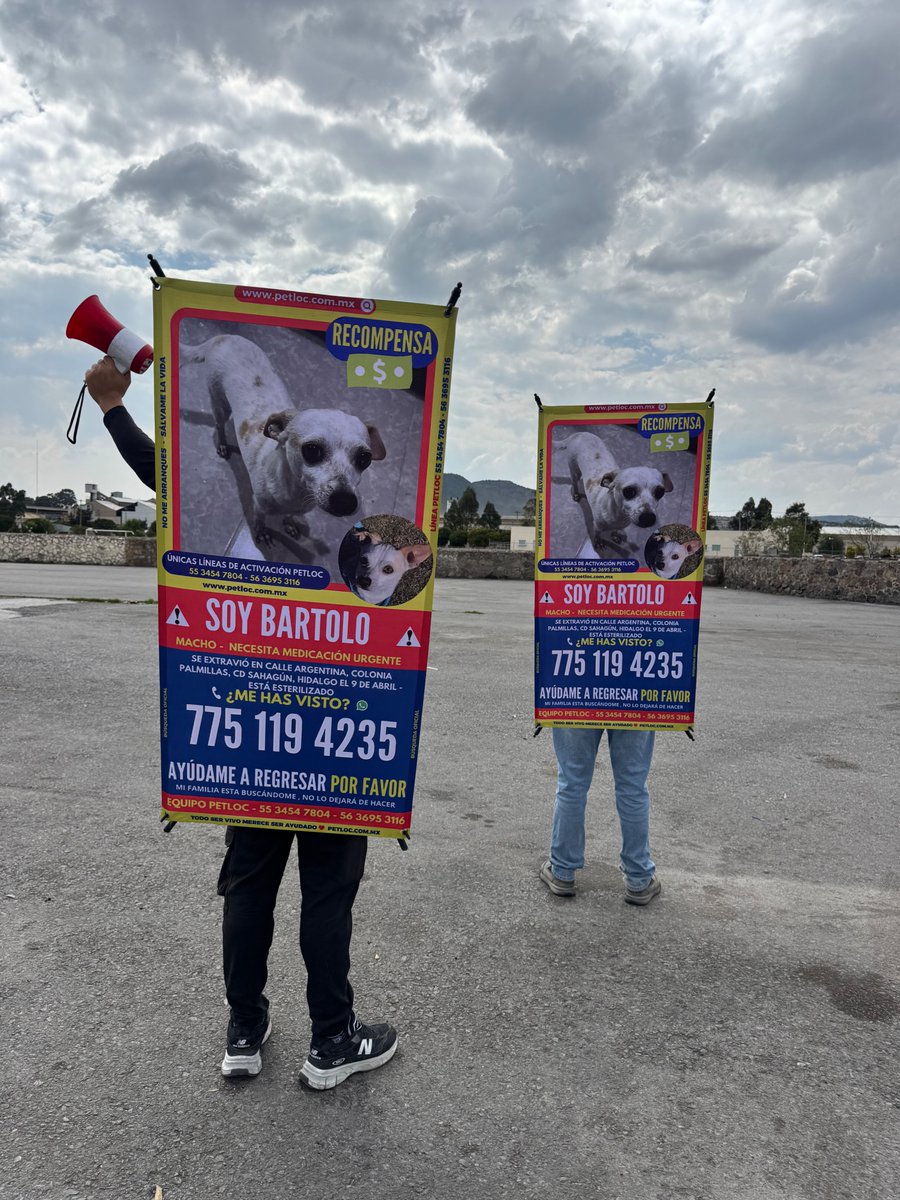 PetlocMX's tweet image. BARTOLO 🐶
Extraviado en Cd. Sahagún, Hidalgo 📍
Si lo ves, llama al 7751194235 📞
Su familia lo sigue buscando sin parar 💔
Ayúdalo a volver a casa 🏠

Cada segundo cuenta ⏳
Difusión activa en la zona 🚨
#Bartolo #PerroPerdido #Hidalgo #Comparte #Ayuda #Búscalo #PetLoc 🐾