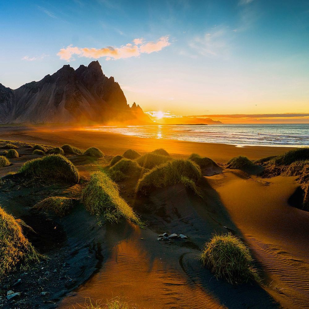 A few gentle gestures can bring warmth to a solitary heart.