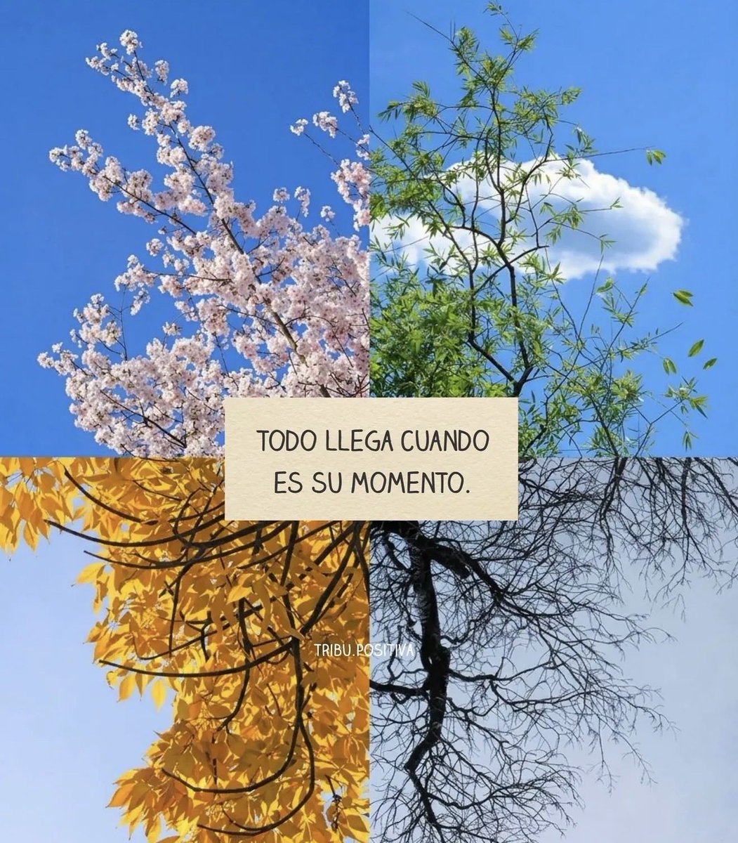 Me ha gustado esta imagen 😊

(Tribu positiva)