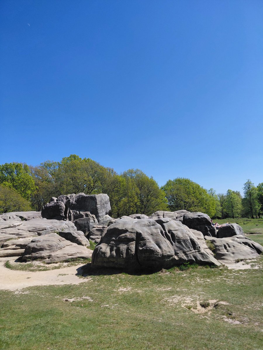 RyKas's tweet image. Happy #EarthDay I enjoyed a walk around #TunbridgeWells Common to celebrate the environment! 🌎