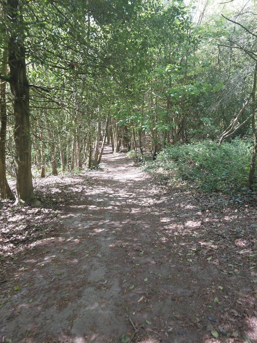 RyKas's tweet image. Happy #EarthDay I enjoyed a walk around #TunbridgeWells Common to celebrate the environment! 🌎