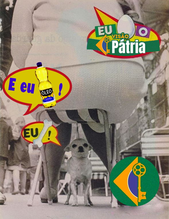Visão Pátria tweet media