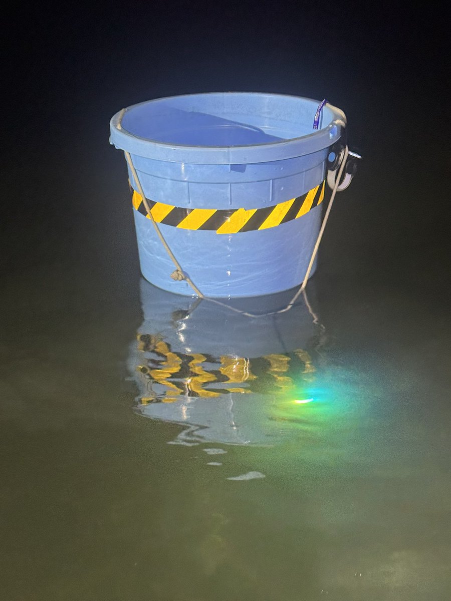 元祖もす@安全スリルドライバー tweet media