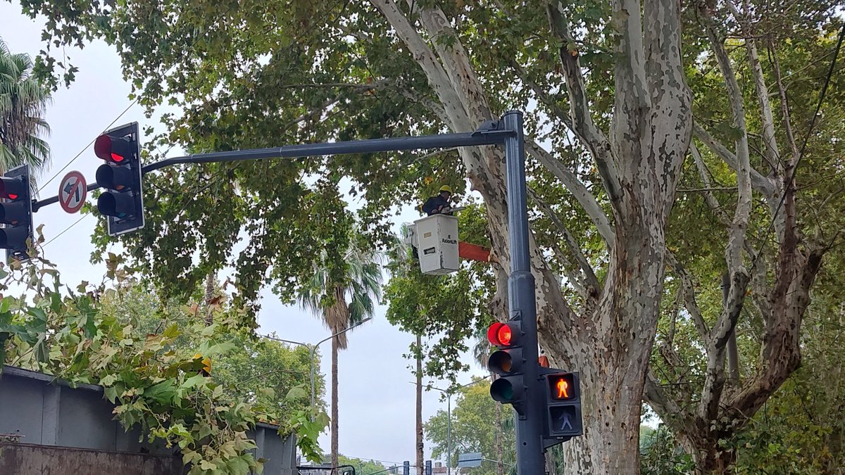 Distrito Norte tweet media