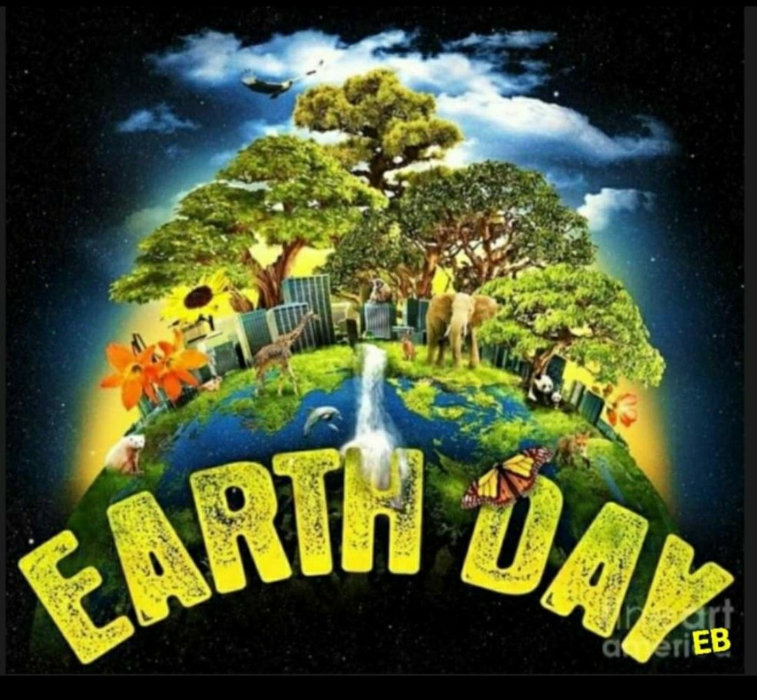 🦋 Elaine Barber 🦋 tweet media