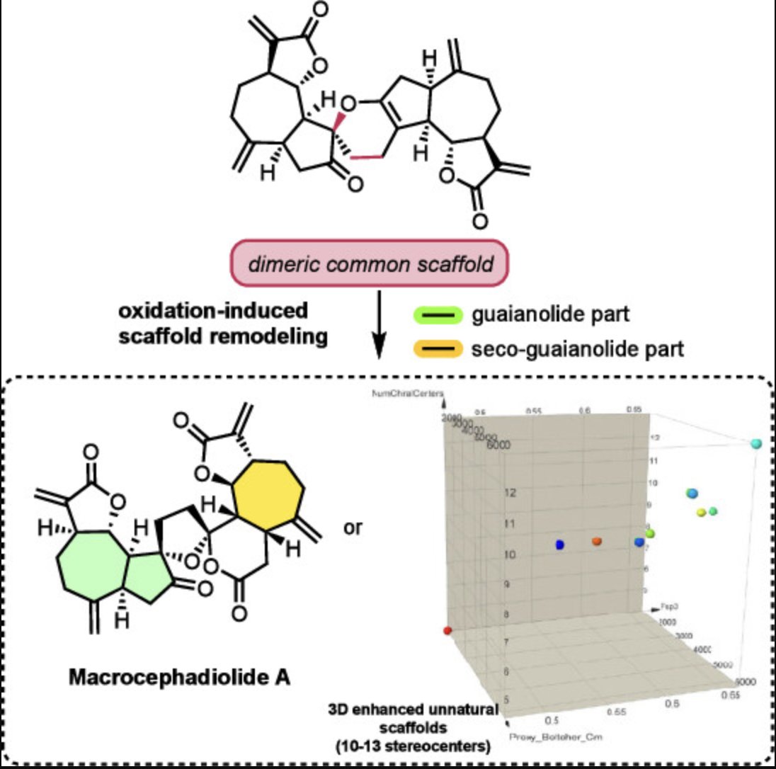 Total Synthesis tweet media