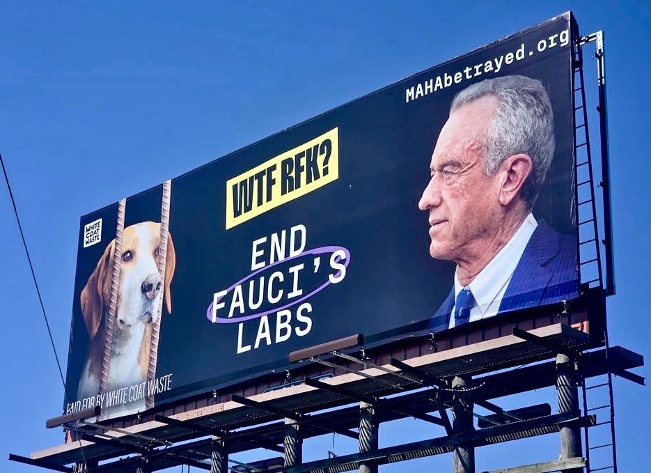 White Coat Waste tweet media