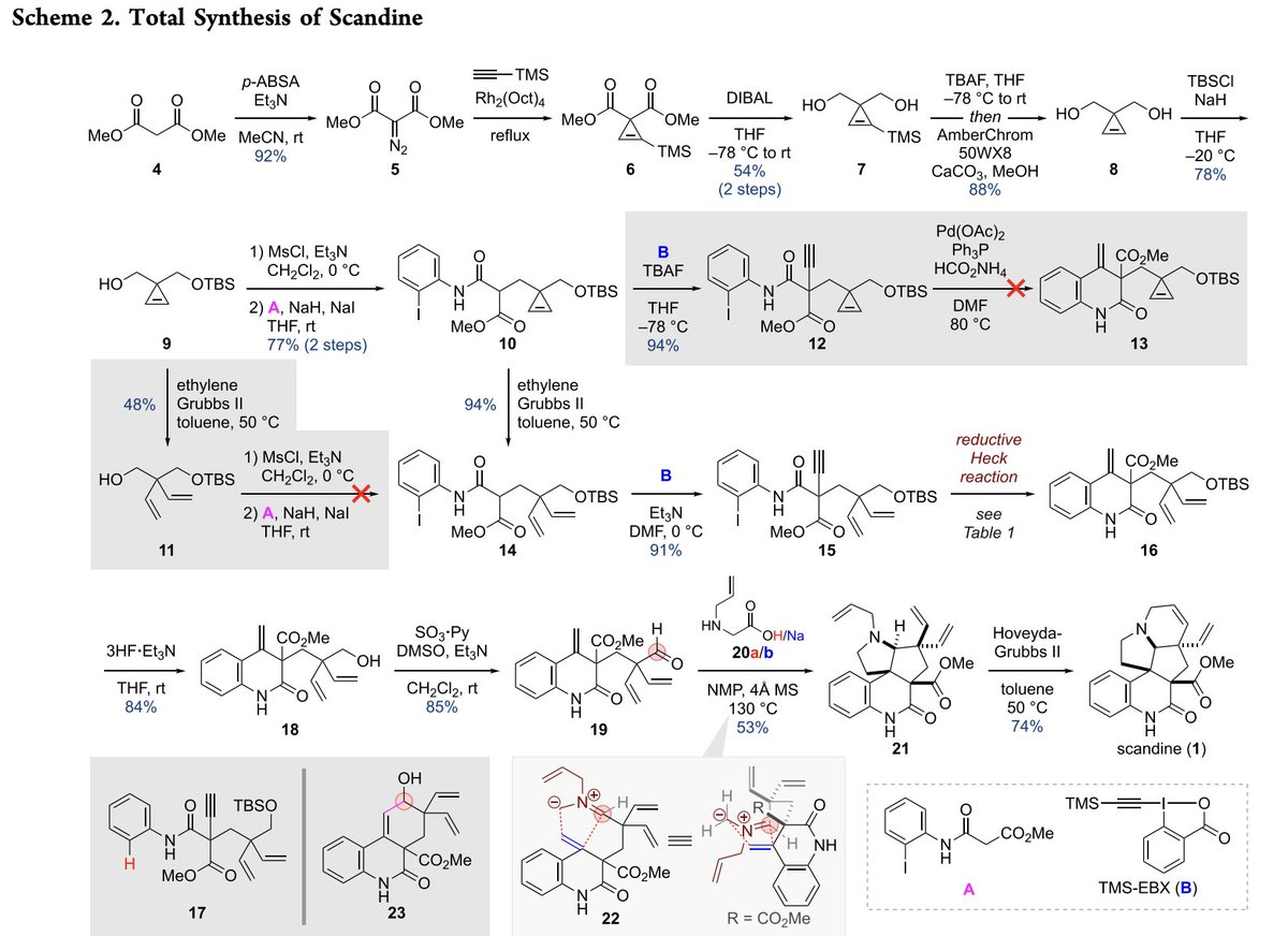 Total Synthesis tweet media