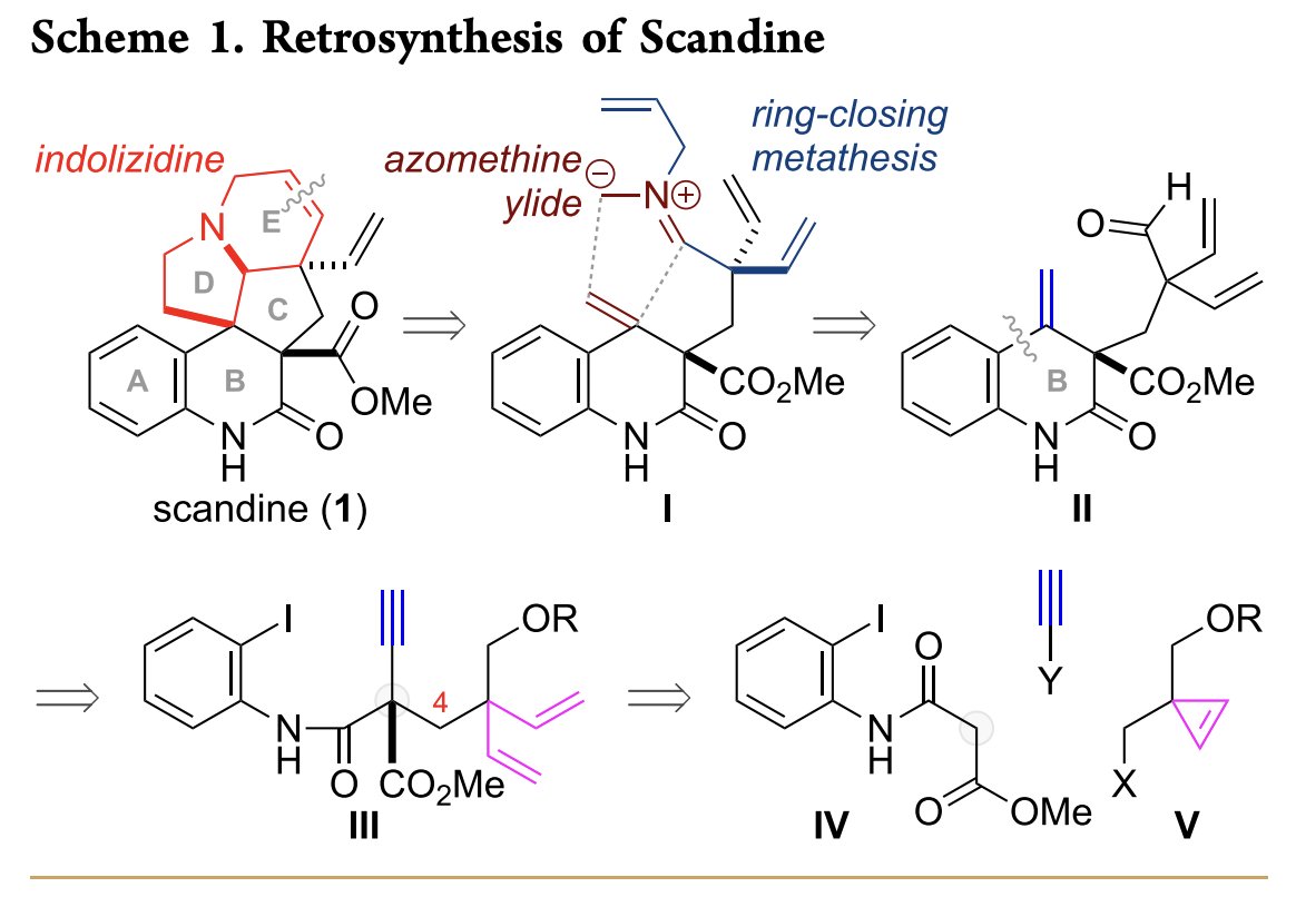 Total Synthesis tweet media