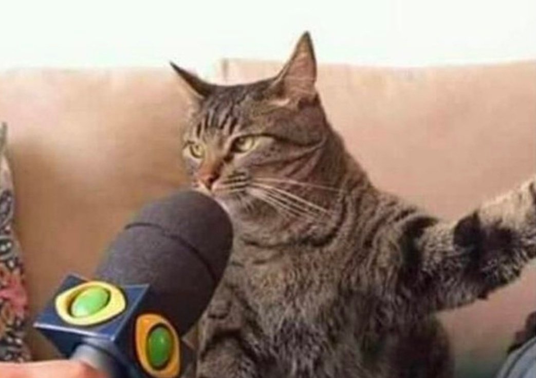 Janaína - UŞ - 🌊⛰️ tweet media