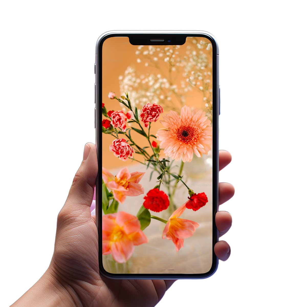 EminemShadyLtd's tweet image. Didn't get the reach it deserved.

A garden on your screen.

#WallpaperMood #WallpaperArt #FlowersWallpaper #NewWallpaper