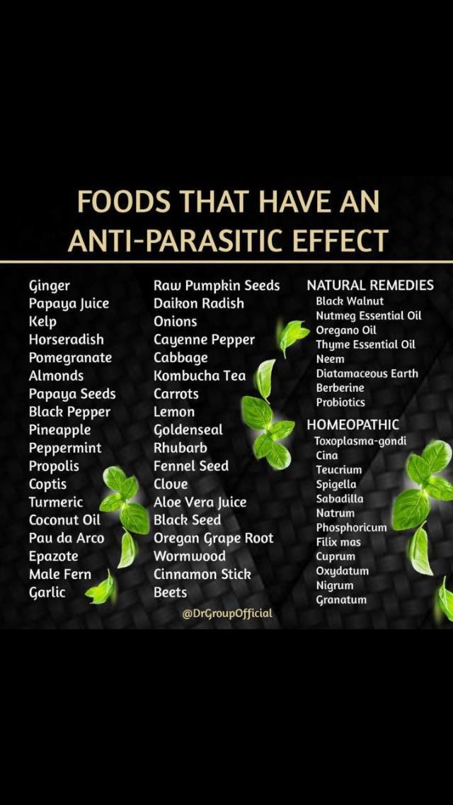 أطعمة ذات تأثير مضاد للطفيليات:

الزنجبيل

عصير البابايا

عشب البحر

الفجل الحار

الرمان

اللوز

بذور البابايا

الفلفل الأسود

الأناناس

النعناع

العكبر

الكوبتيس

الكركم

زيت جوز الهند

باو دا أركو

الإبازوت

السرخس الذكري

الثوم

بذور اليقطين النيئة

الفجل الأبيض

البصل

الفلفل