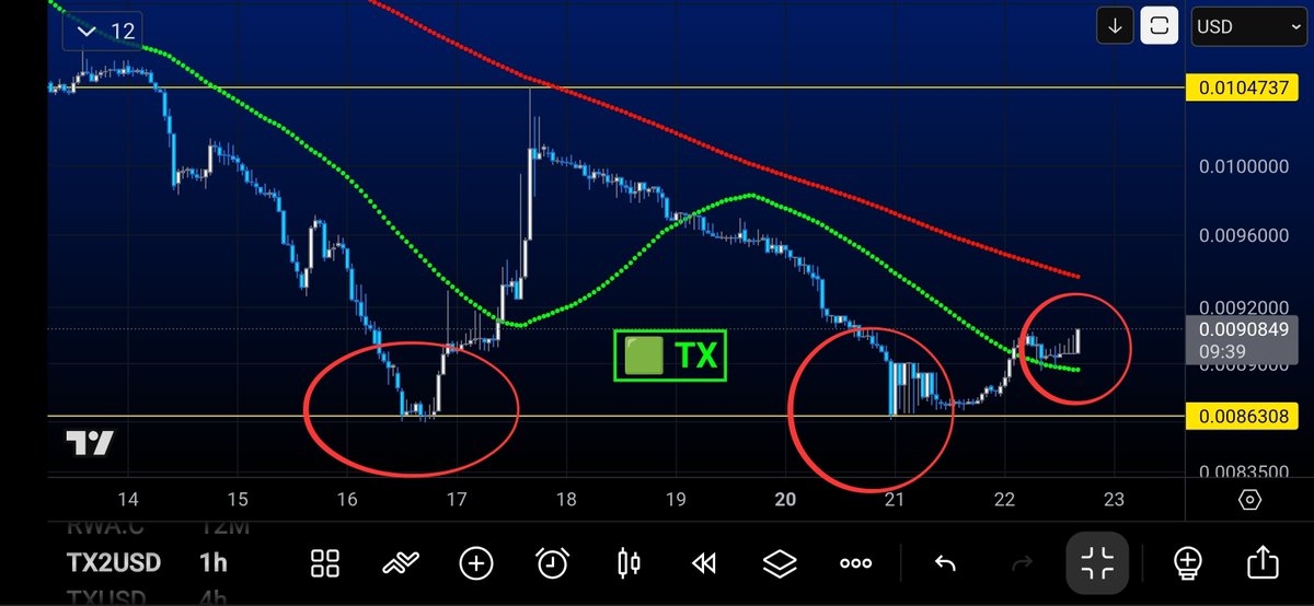 BRW_Solo🔥 tweet media