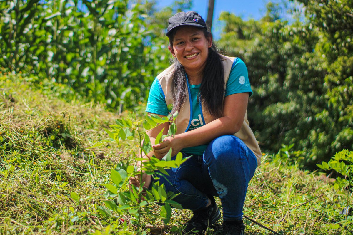 FAO El Salvador tweet media