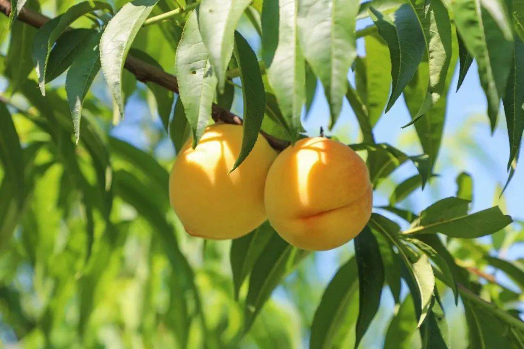 Valentine__23 tweet media