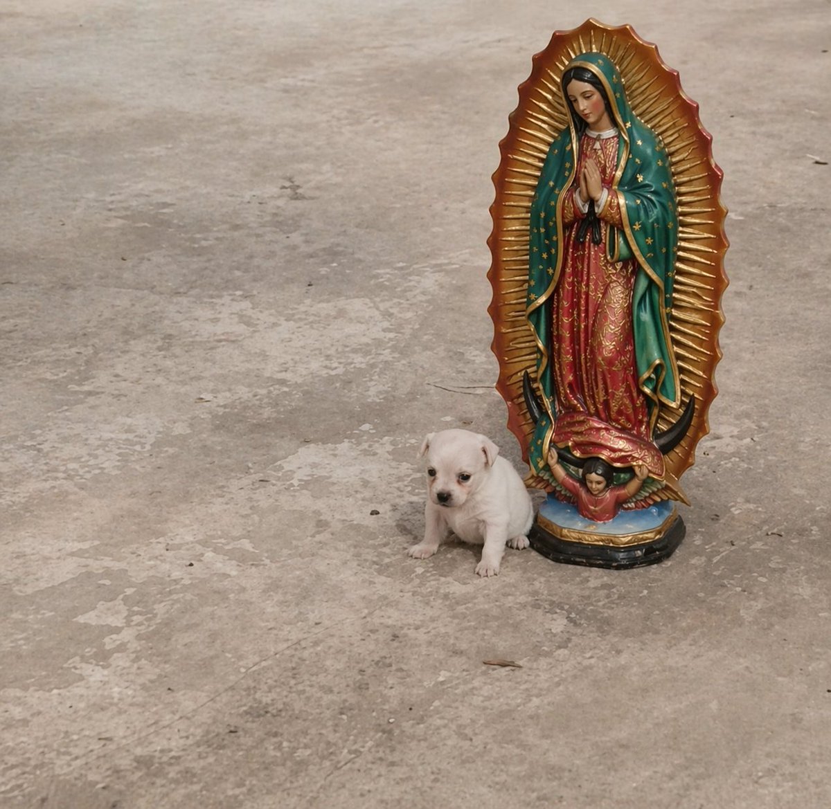 Yo defendiendo a mi Madre (es al revés)