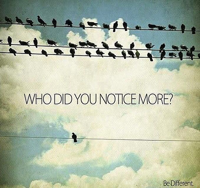 Priety` 🪷 (@priety_preets) on Twitter photo 