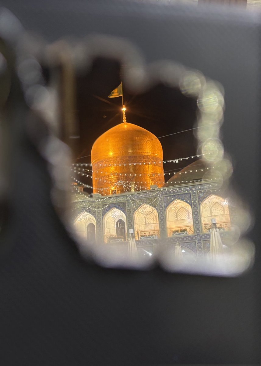 سید محمد جواد حسینی🎒 tweet media